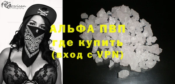 гидра Гусев