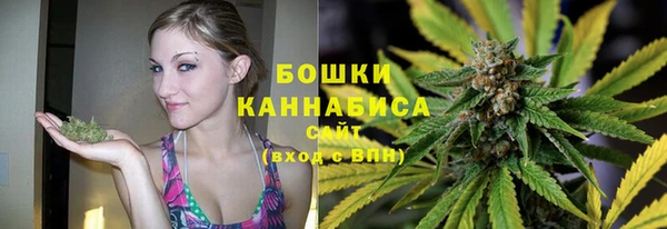 гидра Гусев