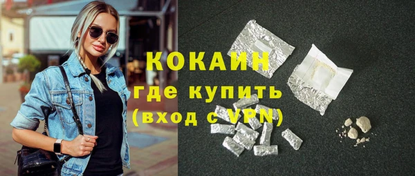 гидра Гусев