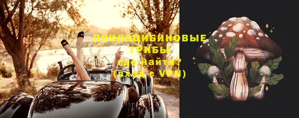 гидра Гусев