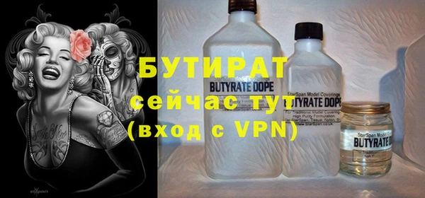 гидра Гусев