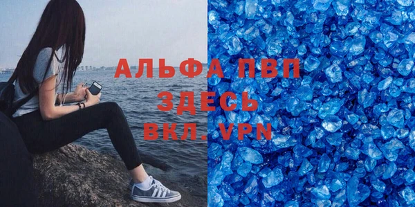 гидра Гусев