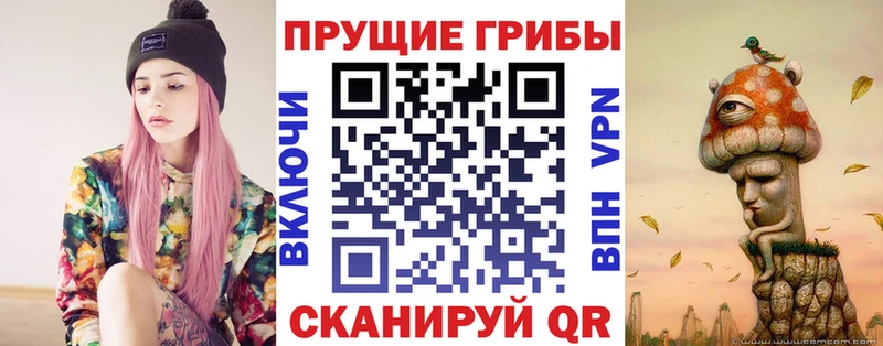 Купить закладки  Усть-Кут  Галлюциногенные грибы Magic Shrooms 